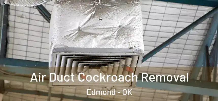  Air Duct Cockroach Removal Edmond - OK