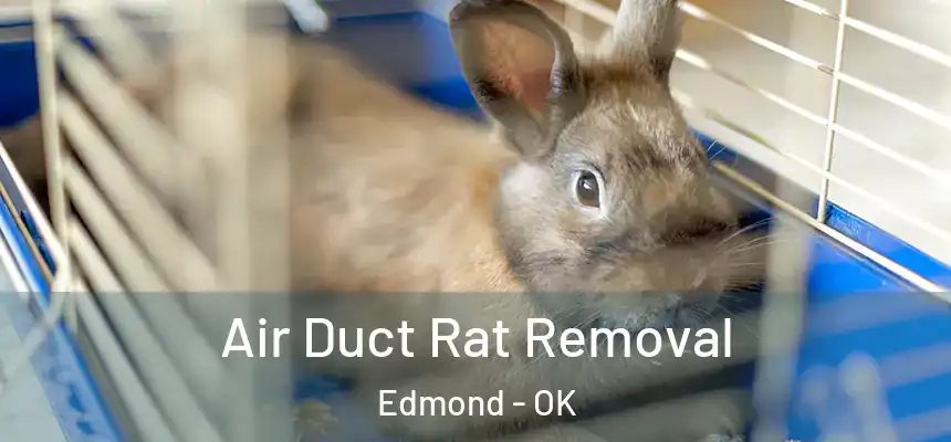 Air Duct Rat Removal Edmond - OK