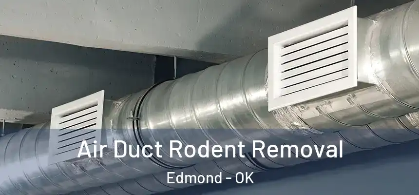 Air Duct Rodent Removal Edmond - OK