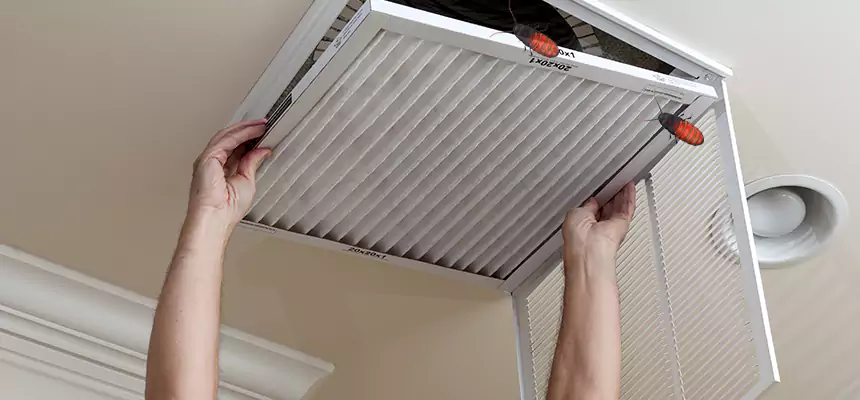 Preventive Cockroach-Proofing for Ducts in Edmond