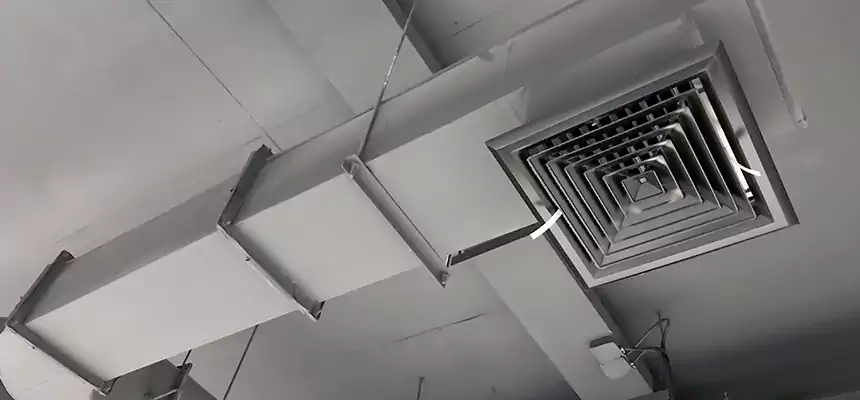 Our Pest Removal From Ducts Services in Edmond, OK