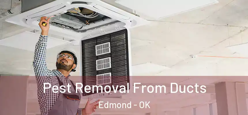  Pest Removal From Ducts Edmond - OK