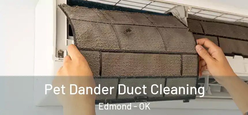 Pet Dander Duct Cleaning Edmond - OK