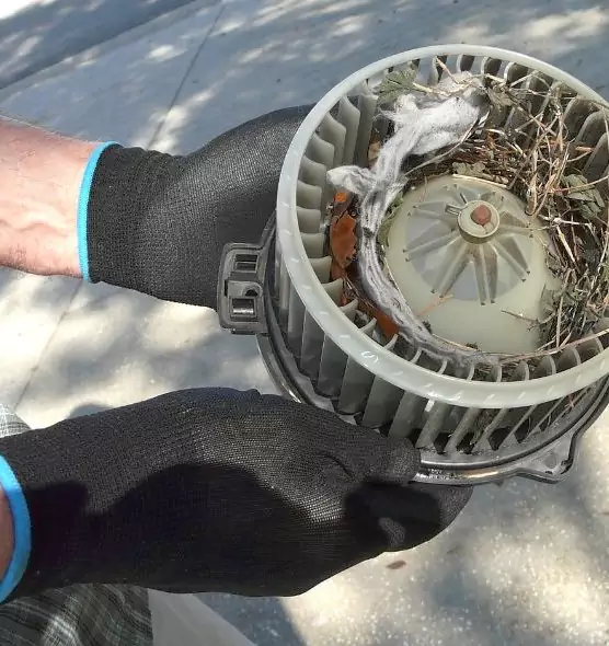 About Air Duct Mice Removal in Edmond, OK