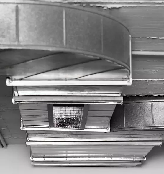 Professional Air Duct Pest Removal in Edmond, OK