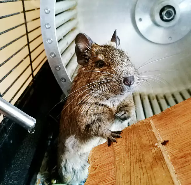 Why Homeowners & Businesses Trust Us Edmond, OK